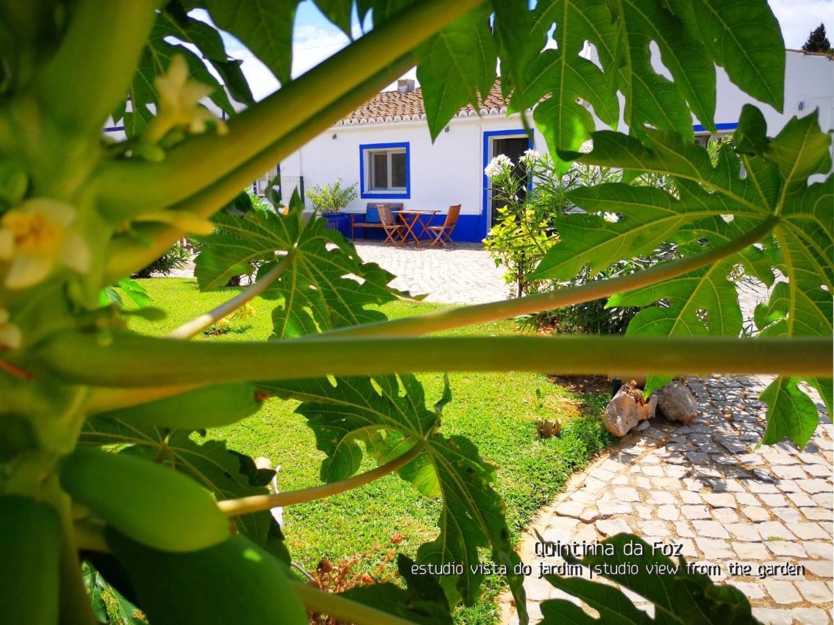 Quintinha Da Foz Guest House Sao Pedro  Exterior photo