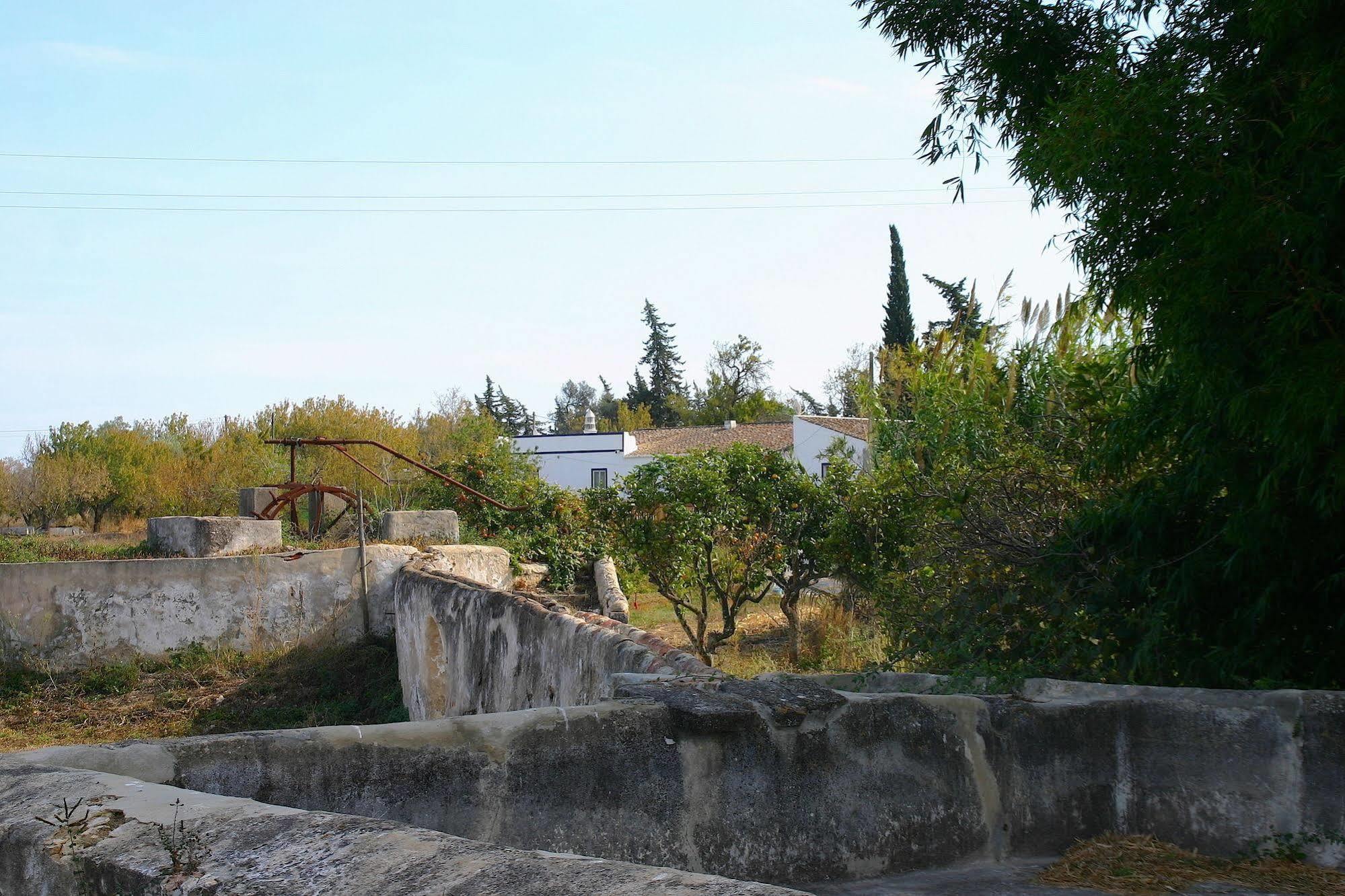 Quintinha Da Foz Guest House Sao Pedro  Exterior photo
